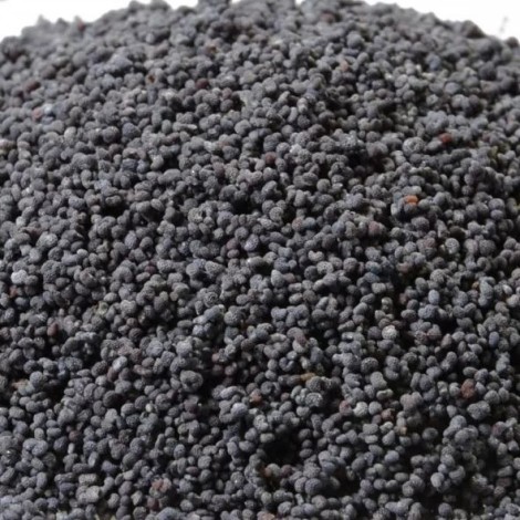 seklos-internetu-kaina