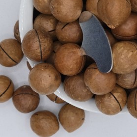 Makadamijų riešutai kepinti ir sūdyti